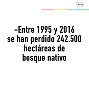 Cartón pérdida bosque nativo0