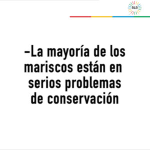 Cartón problema mariscos0