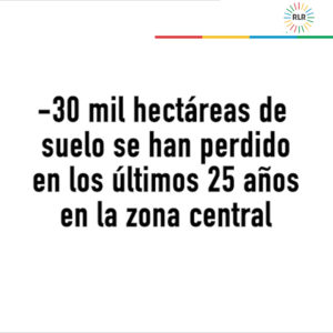 Cartón suelo perdido0